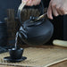 Cast Iron Teapot with Stainless Steel Mesh Filter — Induction Ready