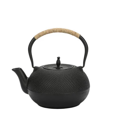Cast Iron Teapot with Stainless Steel Mesh Filter — Induction Ready