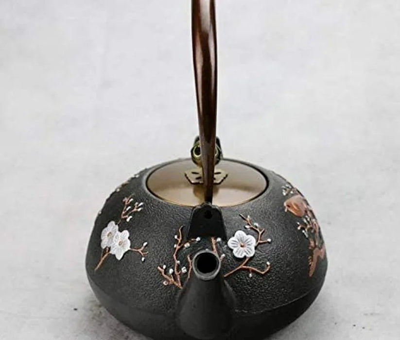 Cast Iron Peanut Teapot Kettle — about 1.0 L (Black)