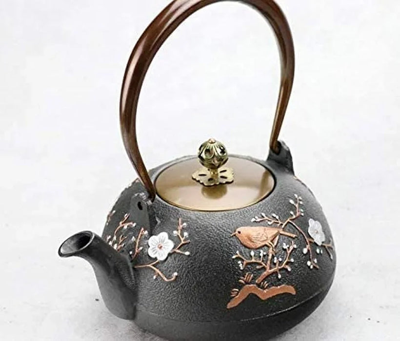Cast Iron Peanut Teapot Kettle — about 1.0 L (Black)
