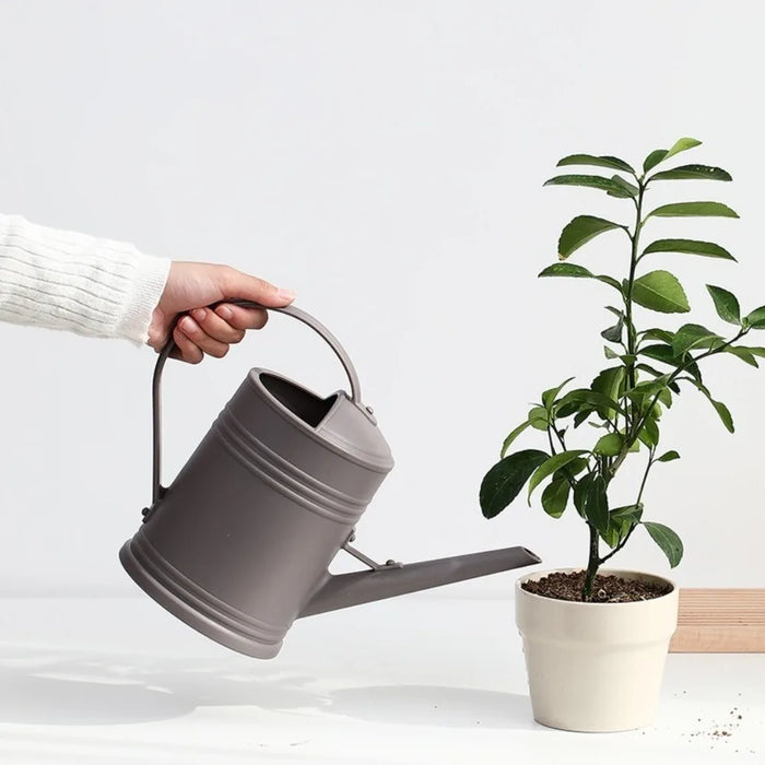 2-litre Long-Spout Watering Can — Durable Plastic with Ergonomic Handle