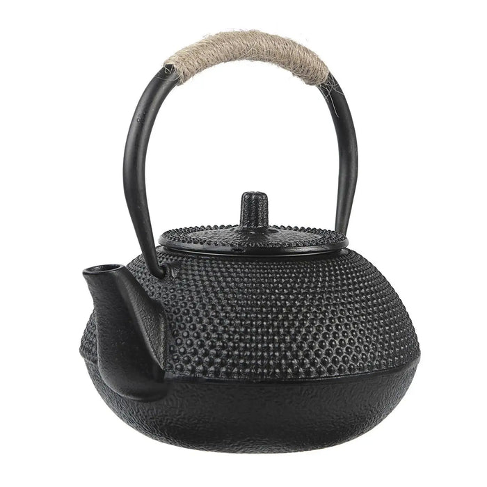 Handmade Antique Cast Iron Teapot — Japanese Style, 300ml or 650ml, Enamel-Lined