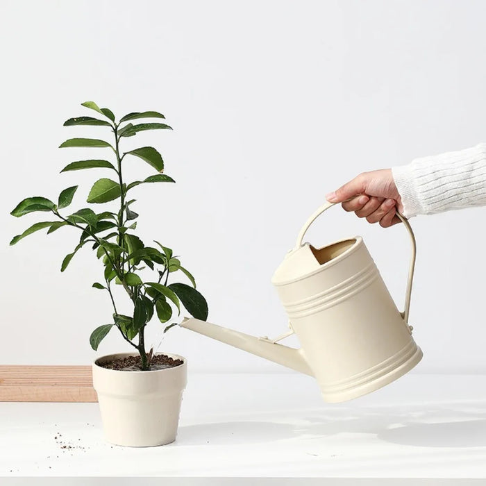 2-litre Long-Spout Watering Can — Durable Plastic with Ergonomic Handle
