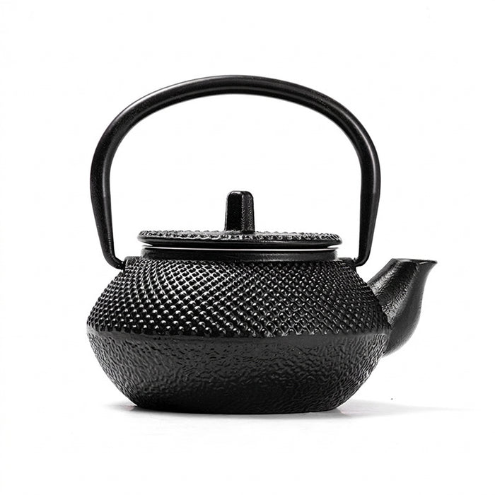 300ml Cast Iron Teapot with Stainless Steel Infuser — Black