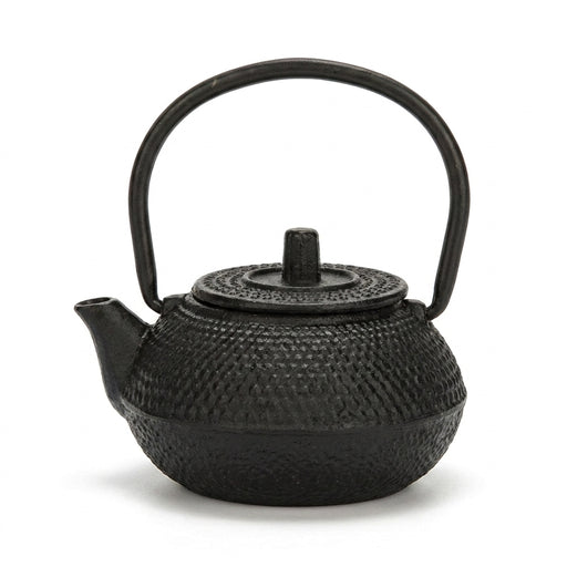 Cast Iron Teapot with Stainless Steel Mesh Filter — Induction Ready