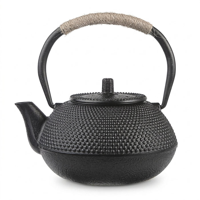 Handmade Antique Cast Iron Teapot — Japanese Style, 300ml or 650ml, Enamel-Lined