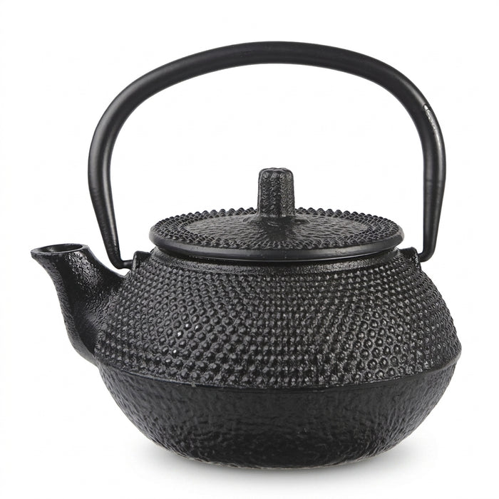 Handmade Antique Cast Iron Teapot — Japanese Style, 300ml or 650ml, Enamel-Lined