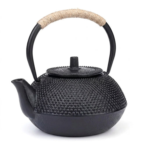 Cast Iron Teapot — Japanese-style Kettle 300/600/900/1200ml with 304 Steel Infuser